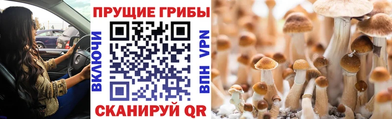 наркотики  Ялта  Галлюциногенные грибы ЛСД 